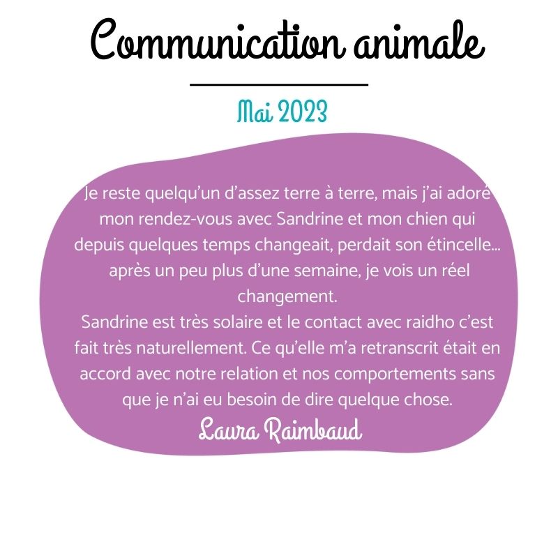 communication animale