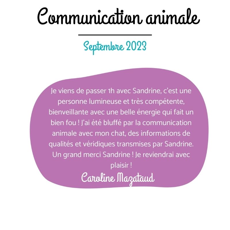 communication animale