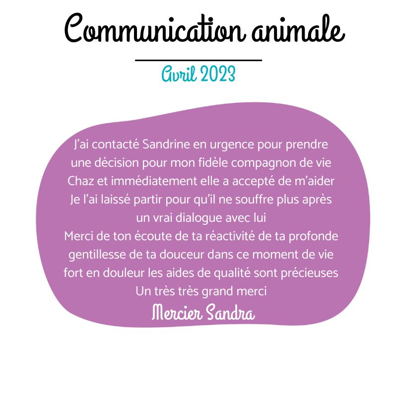 Accompagner le deuil Animalier